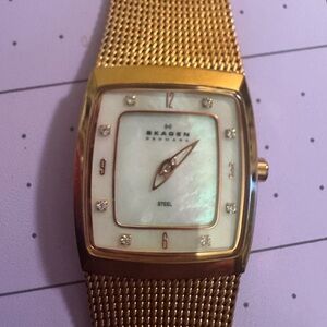 Skagen Gold Mesh Mother of Pearl Watch